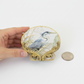Hand-Crafted Blue Heron Shell Trinket Dish - Coastal Decor Jewelry Holder